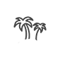 palm tree 